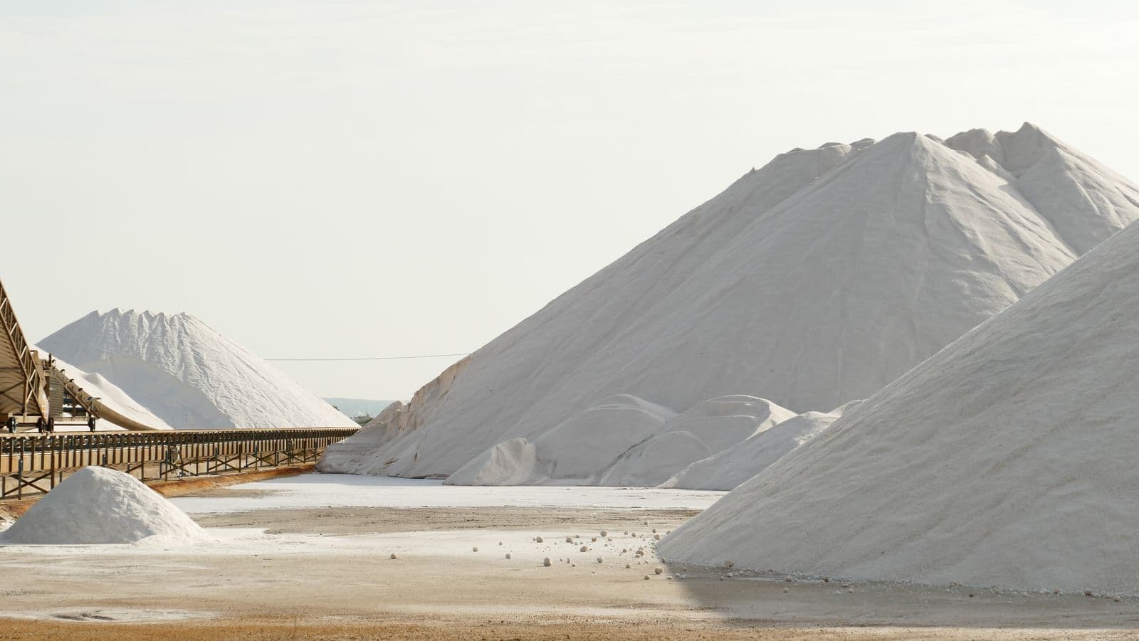 Complete Salt Processing Plant — 1,000 kg/hr Turnkey Line